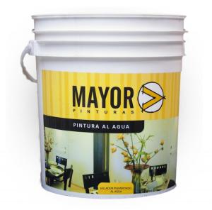 SELLADOR PIGMENTADO MAYOR 10 LT